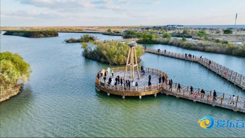 贯赛事中的 贯赛事中的