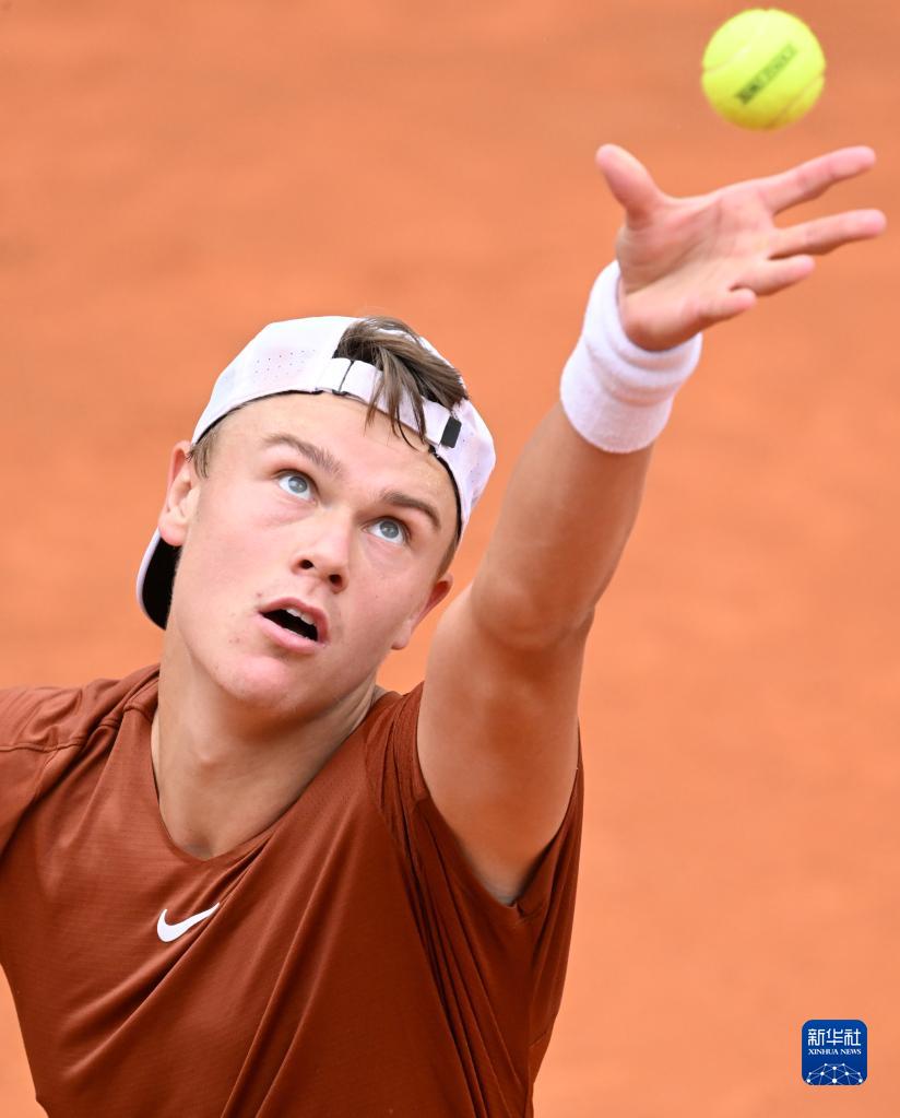 球迷和专业 球迷和专业