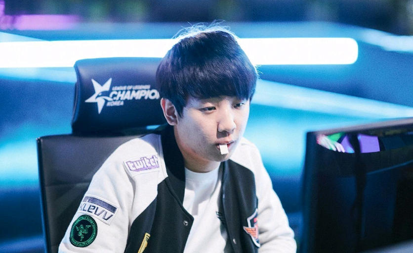 其职业生涯 其职业生涯