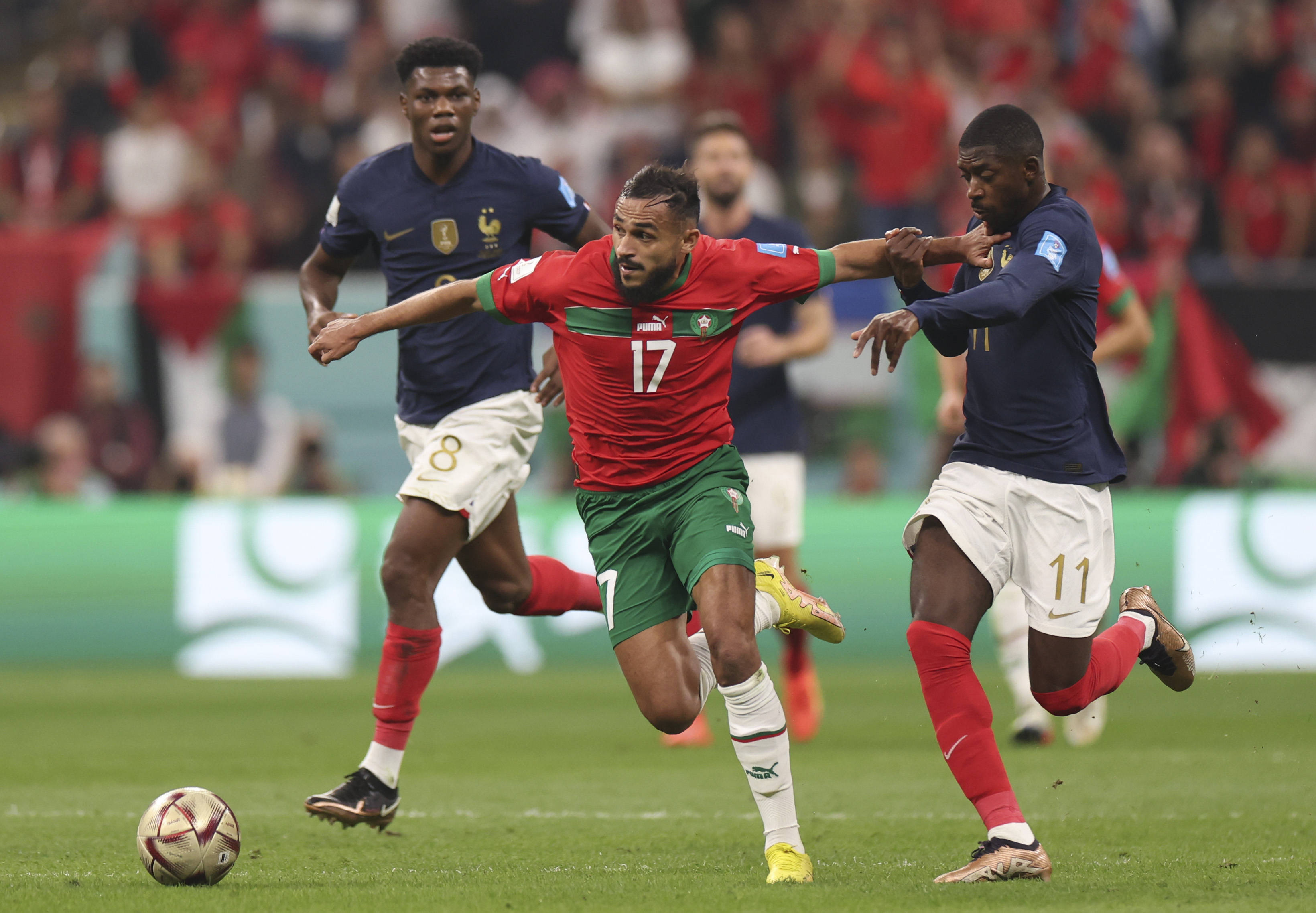 默契养成的 默契养成的