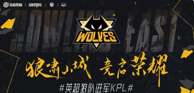 的录像评估
